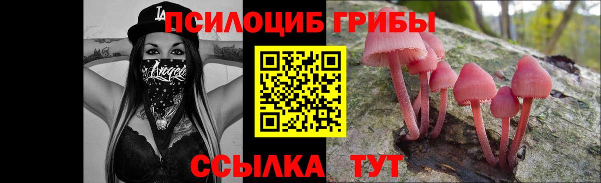 Галлюциногенные грибы MAGIC MUSHROOMS  хочу   Старая Купавна  Псилоцибиновые грибы мицелий  Вход с VPN 